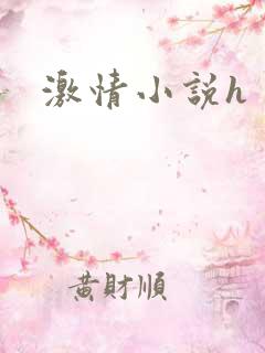 激情小说h