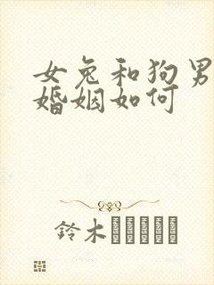 女兔和狗男相配婚姻如何