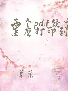 两个pdf发票怎么打印到一张纸上