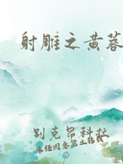 射雕之黄蓉传