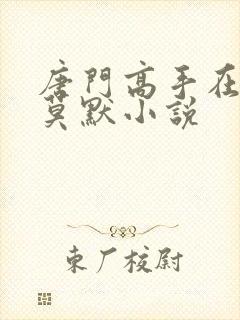 唐门高手在异世莫默小说