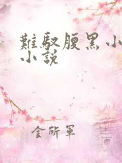 难驭腹黑小娇妻小说