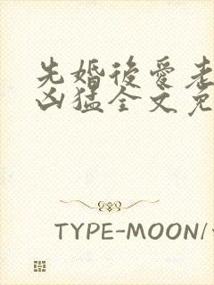 先婚后爱老公很凶猛全文免费