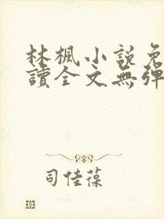 林枫小说免费阅读全文无弹窗