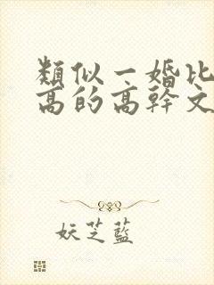 类似一婚比一婚高的高干文