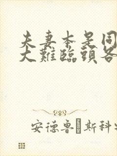 夫妻本是同林鸟大难临头各自飞什么意思