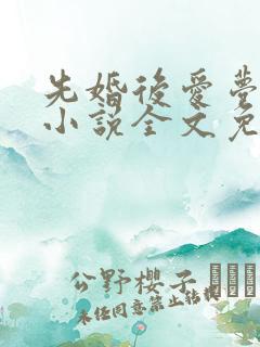 先婚后爱梦筱二小说全文免费阅读