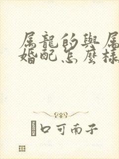 属龙的与属兔的婚配怎么样