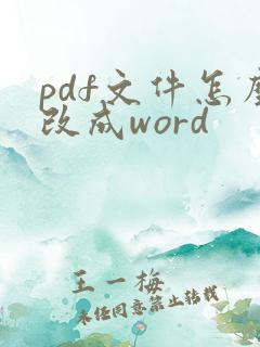 pdf文件怎么改成word