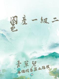 国产一级二级黄色