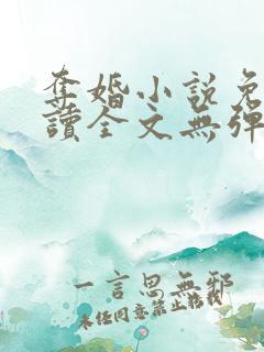 夺婚小说免费阅读全文无弹窗