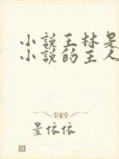 小说王林是哪本小说的主人公