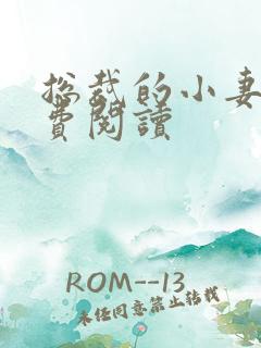 总裁的小妻子免费阅读