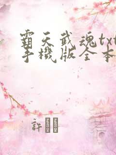 霸天武魂txt手机版全本txt