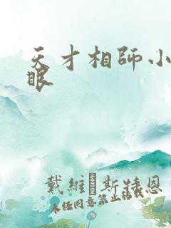天才相师小说打眼