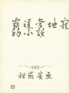 霸道爹地宠又撩的小说
