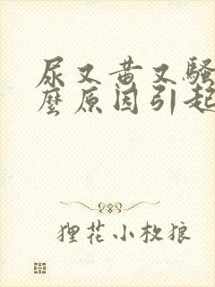 尿又黄又骚是什么原因引起的