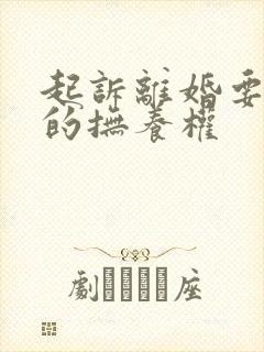 起诉离婚要孩子的抚养权
