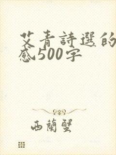 艾青诗选的读后感500字