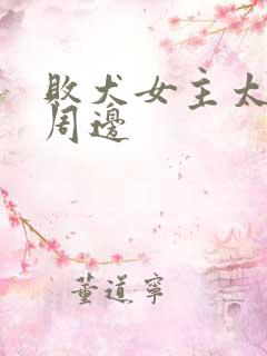 败犬女主太多了周边