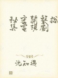 秘密关系总共几集电视剧