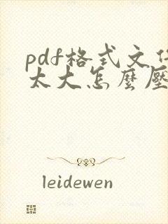 pdf格式文件太大怎么压缩
