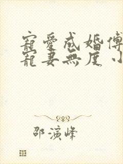 宠爱成婚傅先生宠妻无度 小说