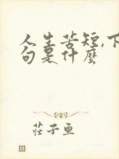 人生苦短,下一句是什么