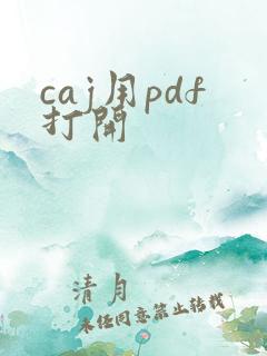 caj用pdf打开