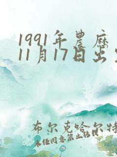 1991年农历11月17日出生的人命运