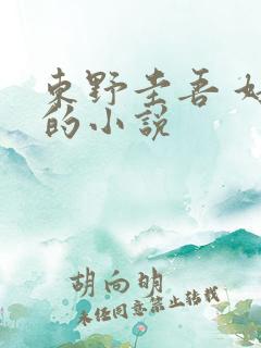 东野圭吾 好看的小说