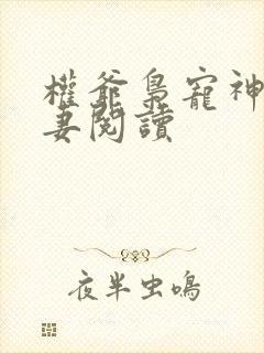 权爷枭宠神秘娇妻阅读