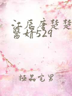 江辰唐楚楚龙王医婿529