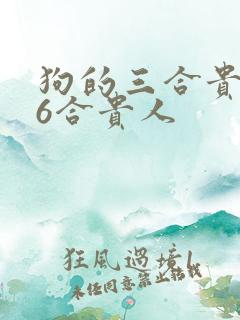 狗的三合贵人和6合贵人