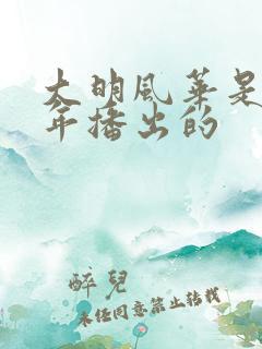 大明风华是哪一年播出的