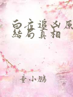 白夜追凶原著大结局真相