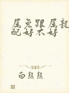属兔跟属龙的婚配好不好