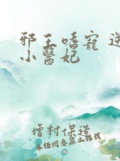 邪王嗜宠 逆天小医妃