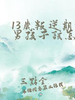 13岁叛逆期的男孩子该怎样去沟通教育