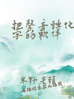 把声音转化成文字的软件