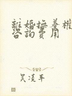 离婚抚养权律师咨询费用