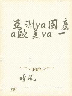 亚洲va国产va欧美va 一