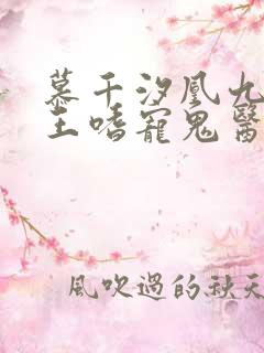 慕千汐凰九夜邪王嗜宠鬼医狂妃免费阅读