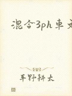 混合3ph车文
