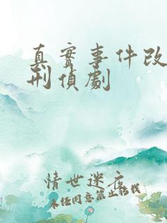 真实事件改编的刑侦剧
