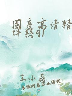 国产高清精品软件丝91