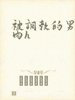 被调教的男奴们肉h