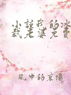 小说我的冰山总裁老婆免费看