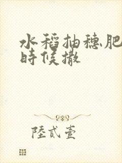 水稻抽穗肥什么时候撒