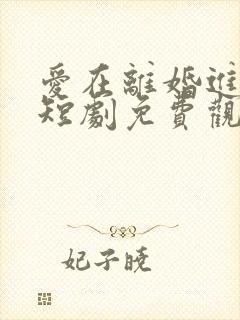 爱在离婚进行时短剧免费观看